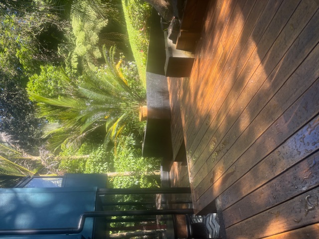 More Recent Work image0 (4)